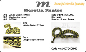 Morelia Reptor ID CARD