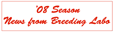 '08 Season News